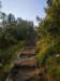 Photo Number 6